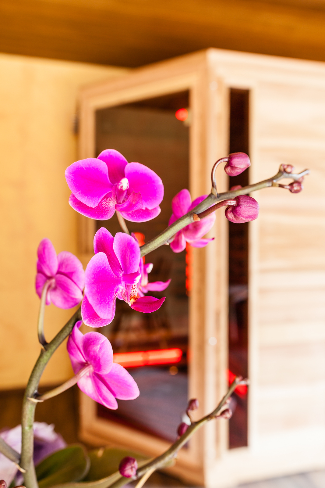 An Infrared Sauna Can Help You Feel Better